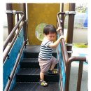 들놀이공원 이미지