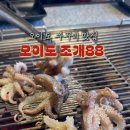 등대직화쭈꾸미
