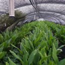 쌍암농장 이미지