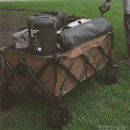 매드 고릴라 이미지