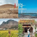 2835 | 제주도 서쪽 코스 2박3일 제주 여행 후기