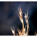 (주)소리아이 이미지