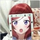 노리존 이미지