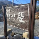 정선뜰펜션2 이미지