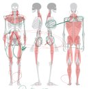 바디컨트롤 필라테스 | 성신여대 필라테스 '바디메이킹' 1:1 허리통증 개선 레슨 후기 (1~5회차)