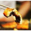 풍천장어 이미지