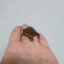 수원-0963 이미지