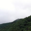 서석목장 이미지