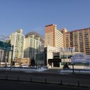 정선군선거관리위원회 이미지