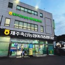 제주축산농협 축산물공판장 | 제주 축산업의 새 시대 개막! 한우·돼지고기, 싱가포르 수출길 열리다!