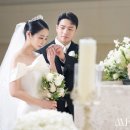 미무아르 이미지