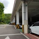 수리산산림욕장 이미지