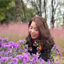 배산작은도서관 이미지