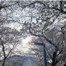 (주) 참좋은태권도 이미지