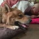 신덕공인중개사사무소 이미지