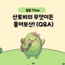 금당면-1 | 완도 금당도 여행 금당8경 교암청풍을 한눈에 금당적벽길 세포전망대 댈추봉 트레킹 코스