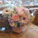 뮤지컬렛미플라이 늦은후기 240113세종, 0119대구, 0326대만, 1026구미 이미지