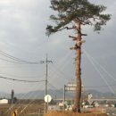 주생면 소지마을 네이버블로그
