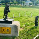 육군 군견훈련소 이미지