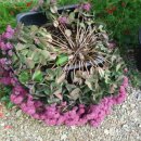 동영상편집교실 이미지