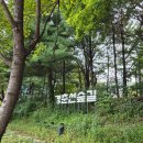 노원둘레산천길(스탬프투어) 이미지