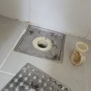 상록데시앙 이미지