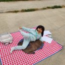 내동목장 이미지