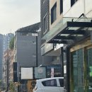 몽몽살롱 | 망포애견미용 몽몽살롱 정착한 이유