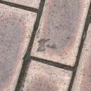 원골어린이공원 이미지