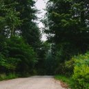 나무새 관광농원 이미지