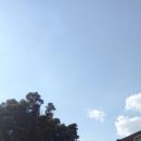 제주 평온스테이 이미지