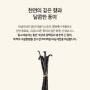 킴케이푸드