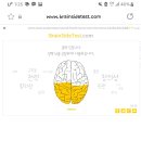 디마럽 네이버블로그