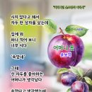 어머니 몫/윤보영 이미지