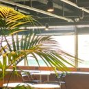 본어게인(BornAgain) 이미지