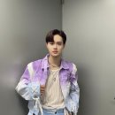 댕댕이애견 이미지