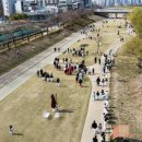 용인대 세미 태권도장 이미지