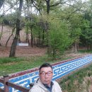 돌담당구장 Daum카페