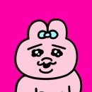 핑크미용실 - 익산시 | 핑크미용실