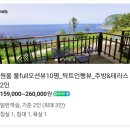 스테이 섬씽 울릉도 이미지