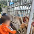 신동아농장 이미지