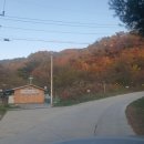 대룡산주유소 이미지