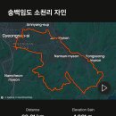 대토MTB (송백 임도) 이미지