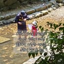 올챙이 | [대전] 상소동 산림욕장 아이와 함께 피크닉! 숲놀이터, 시원한 지압길, 올챙이 잡고 논 후기