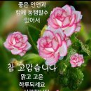 [날씨&amp;운세]6월 28일 수요일 날씨&amp;운세 이미지