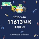 2025 캐럿랜드 다녀온 후기 - 2