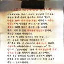 신당동딜런위스키하이볼혼술LP