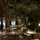 써티세븐 이미지