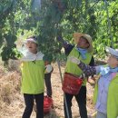 상동농업협동조합(농협) 이미지