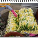 가을농원 이미지